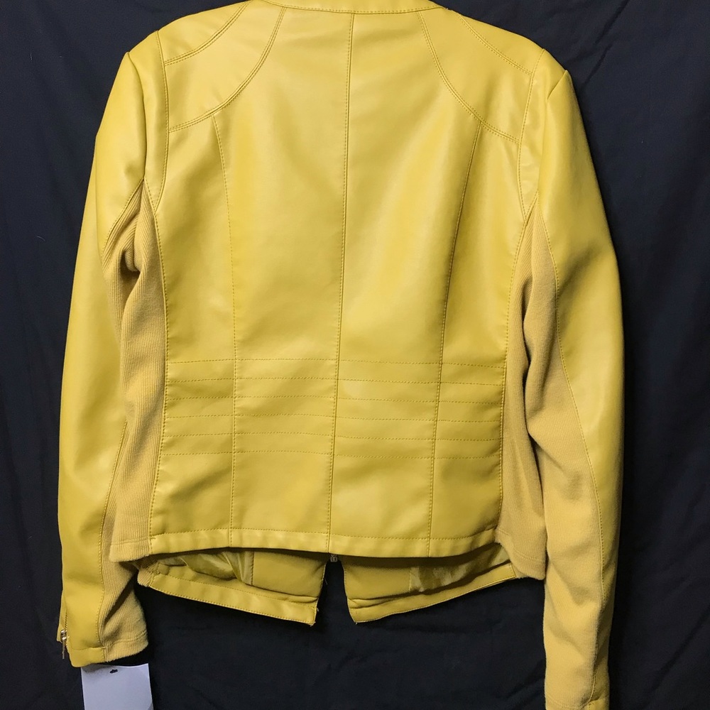 Jacket - Picture 3 of 7